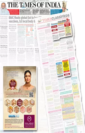 Dainik Navajyoti tearsheet proof